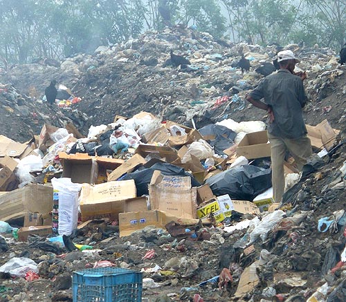 Vertederos Colapsan En Cocl Y La Basura Invade A La Provincia Panam