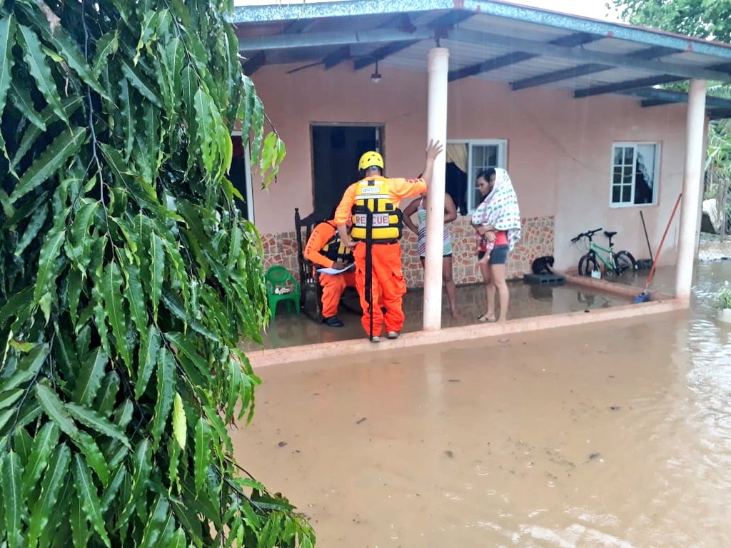 Fuertes lluvias afectan a 4 viviendas y derriba varios árboles en