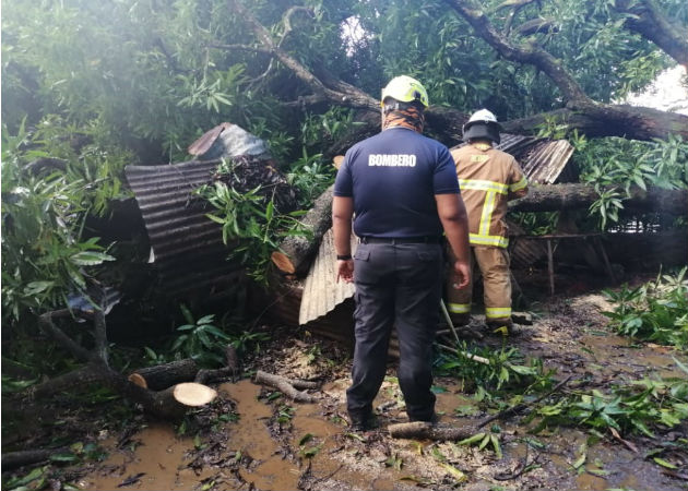 Inundaciones Tras Fuertes Lluvias Afectan Cuatro Casas En La Corocita