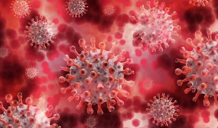 Mutaciones Del Nuevo Coronavirus Qu Se Sabe De Estos Cambios