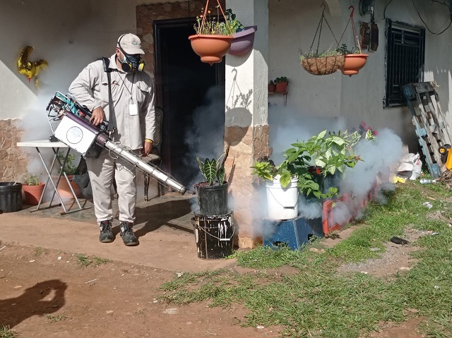 Refuerzan operativos en cordón fronterizo por brotes de dengue en Costa