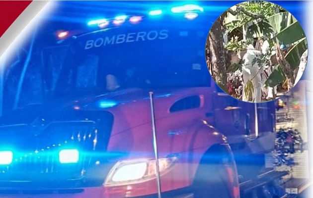 Hombre en Tierra Prometida muere calcinado mientras dormía Panamá