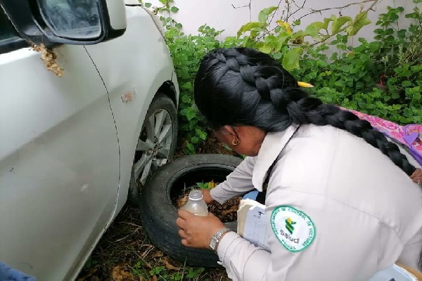 Preocupación por el aumento de casos de dengue en Colón Panamá América