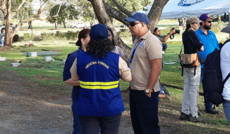 Los trabajos se realizan en el Jardín de Paz. 