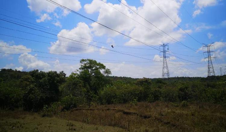 El proyecto contempla la instalación de 900 torres a lo largo de 330 kilómetros, en el norte del territorio nacional. Cortesía