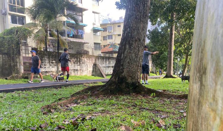 El objetivo es que las canchas y lugares de esparcimiento estén abiertos al público y no se cobre por su uso. Cortesía