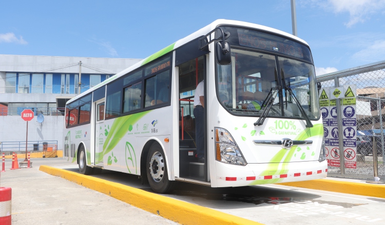 Los buses fueron adquiridos por AES. Son un poco más chicos que los metrobuses. 