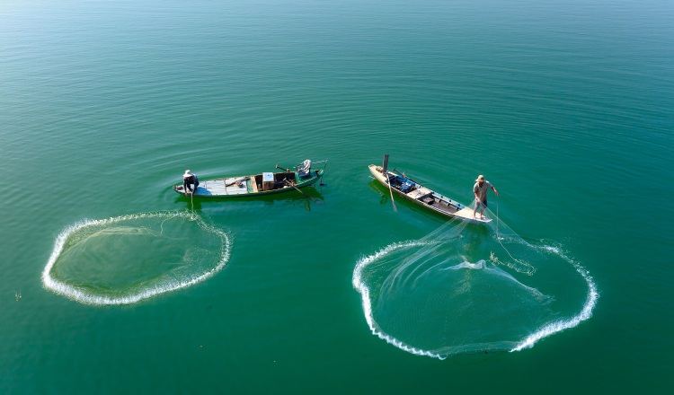 La industria emplea a 1,200 pescadores en el país, lo que indica que la mayoría de estas trabajadores se dedica a la pesca artesanal. Foto ilustrativa