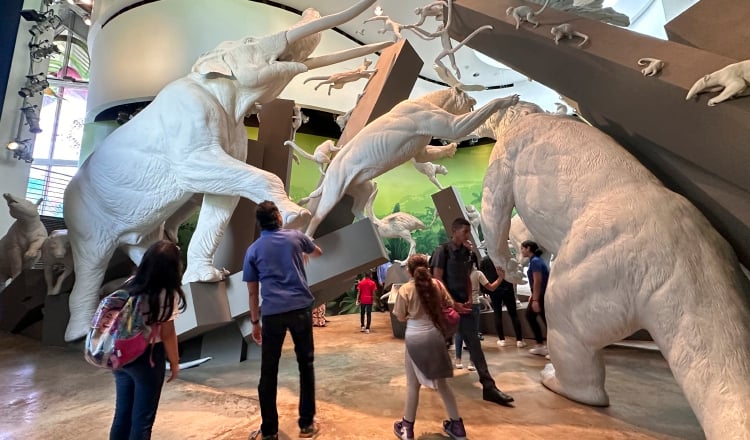 Diversos museos abrieron sus puertas a niños y estudiantes para que entraran en contacto con el arte, la historia y la riqueza cultural del país. EFE