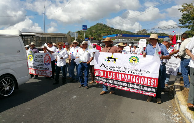 La marcha fue pacífica. Foto: Eric A. Montenegro.