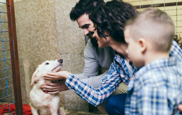 Toda la familia debe estar de acuerdo para realizar la adopción. 