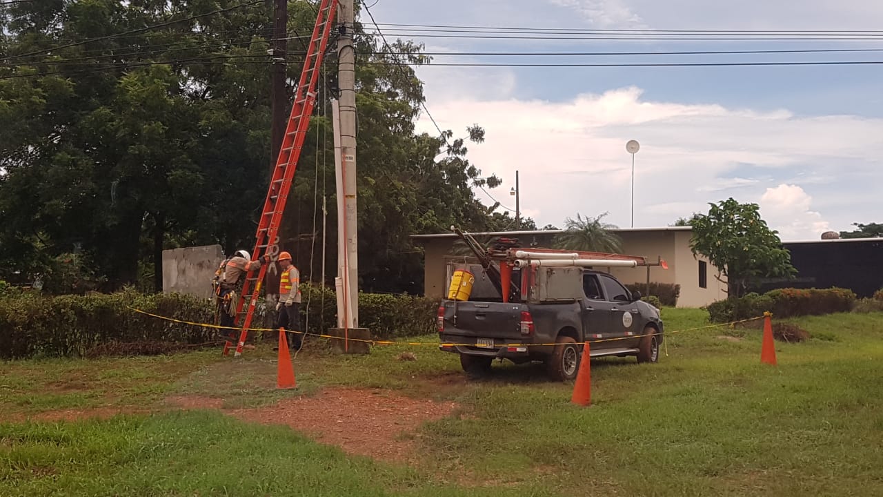 Aseguran los moradores, se va la luz todos los días. Pero además, las ramas de los árboles están por encima del cableado, lo que afecta aún más la problemática, sobre todo en la región de Cacao. Foto/Thays Domínguez