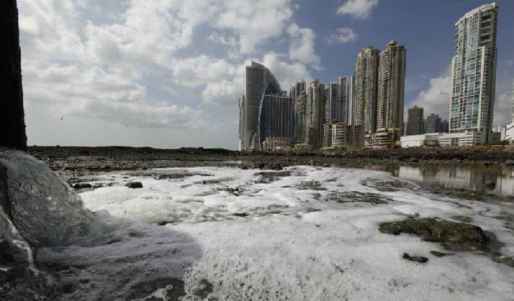 Las expectativas por el desarrollo y descontaminación de la bahía ha generado mucha confianza. Foto de archivo