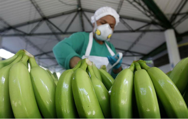 El Instituto Colombiano Agropecuario (ICA) detalló que se pusieron en marcha tres puestos de control fitosanitarios.