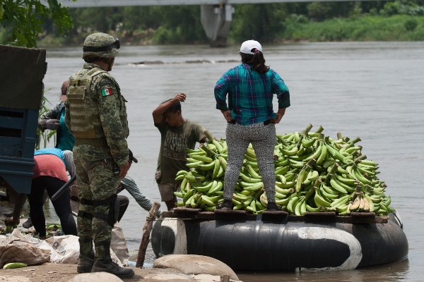 Los hechos se registraron en el kilómetro 071+000 de la carretera Tapanatepec-Ocozocoautla, cuando agentes federales realizaron una revisión rutinaria al tractocamión. FOTO/EFE