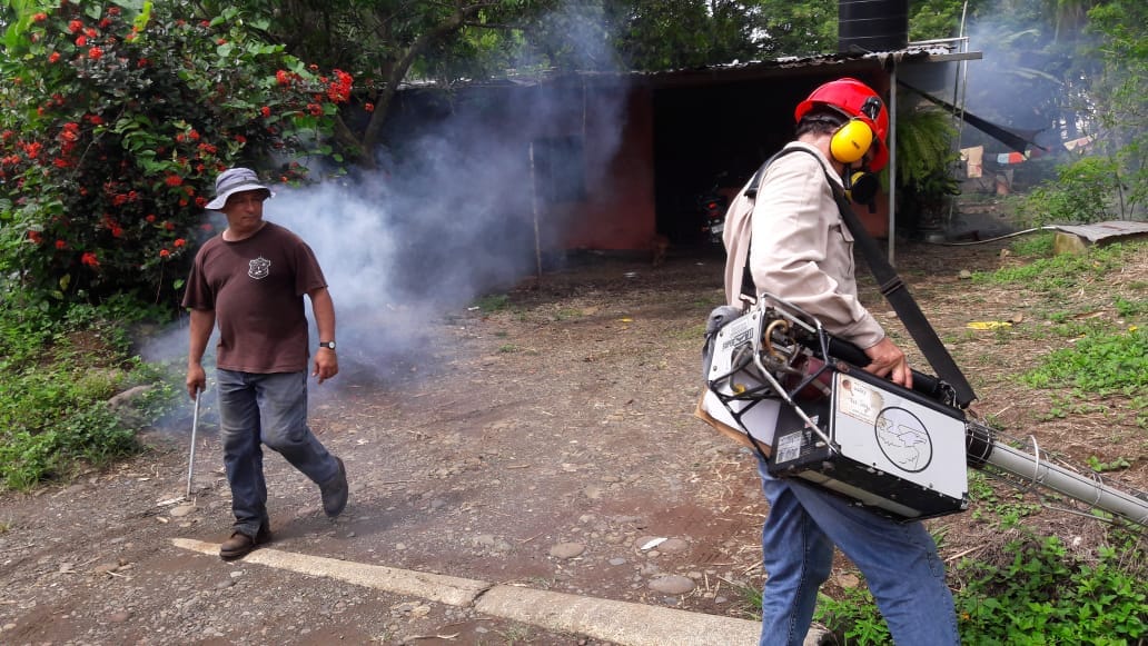 Los insecticidas solo eliminan parte de los mosquitos adultos. 