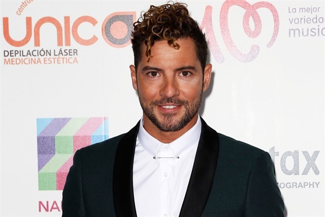 Cantante David Bisbal. 