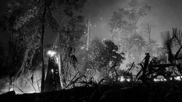 Esta fotografía de archivo del 9 de septiembre de 2019, muestra un incendio en la floresta en la ciudad de Porto Velho, Brasil. En Panamá, se registra la destrucción de miles de manglares, como la desaparición de cientos de ríos .Foto: EFE.