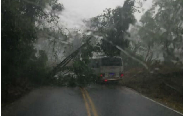 Los derrumbes se generaron debido a las constantes lluvias. Foto: José Vásquez.