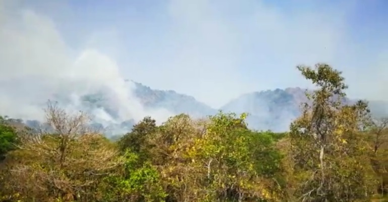 El jefe de los bomberos, Gonzalo Chang,  señala que los gastos de los bomberos para enfrentar los incendios de masas vegetal y bosques superan los 100 mil dólares. Foto/José Vásquez