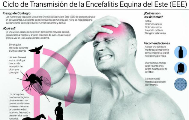 Ministerio de Salud declara alerta sanitaria por brote de Encefalitis Equina en Darién. Foto: Panamá América.