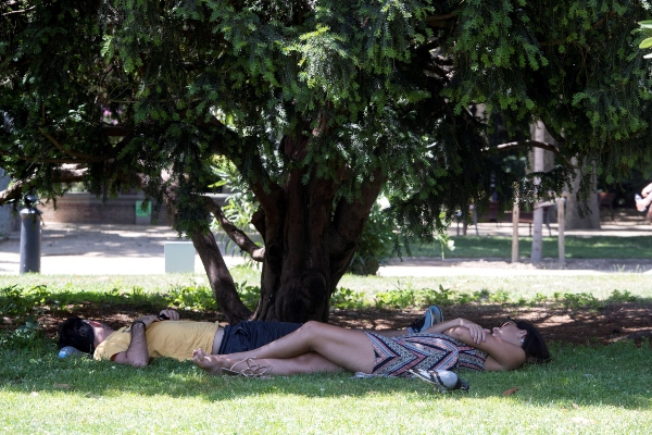 Unos jóvenes descansan bajo la sombra en el Parc de la Ciutadella de Barcelona, ciudad afectada por la ola de calor más intensa en un mes de junio en Cataluña, que alcanzará este viernes las temperaturas máximas, con picos que pueden llegar a los 43 °C en puntos del interior, calor extrema que se mantendrá hasta el domingo. FOTO/EFE