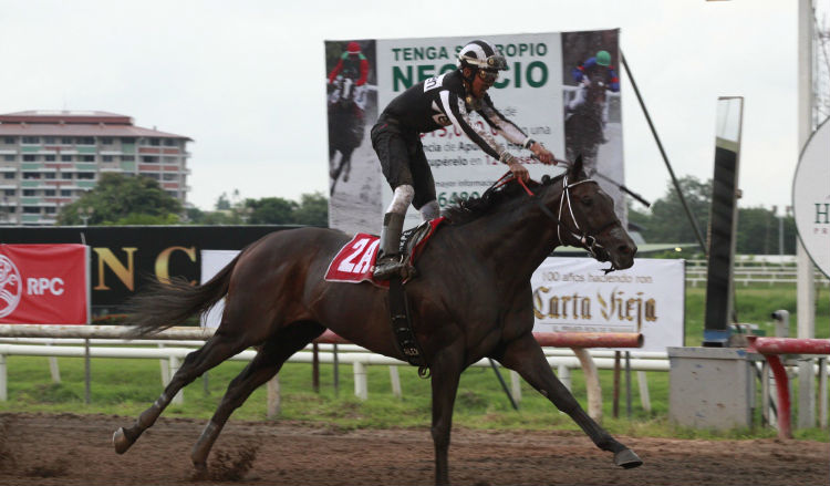 Coltimus Prime iba a competir en la copa de Importados