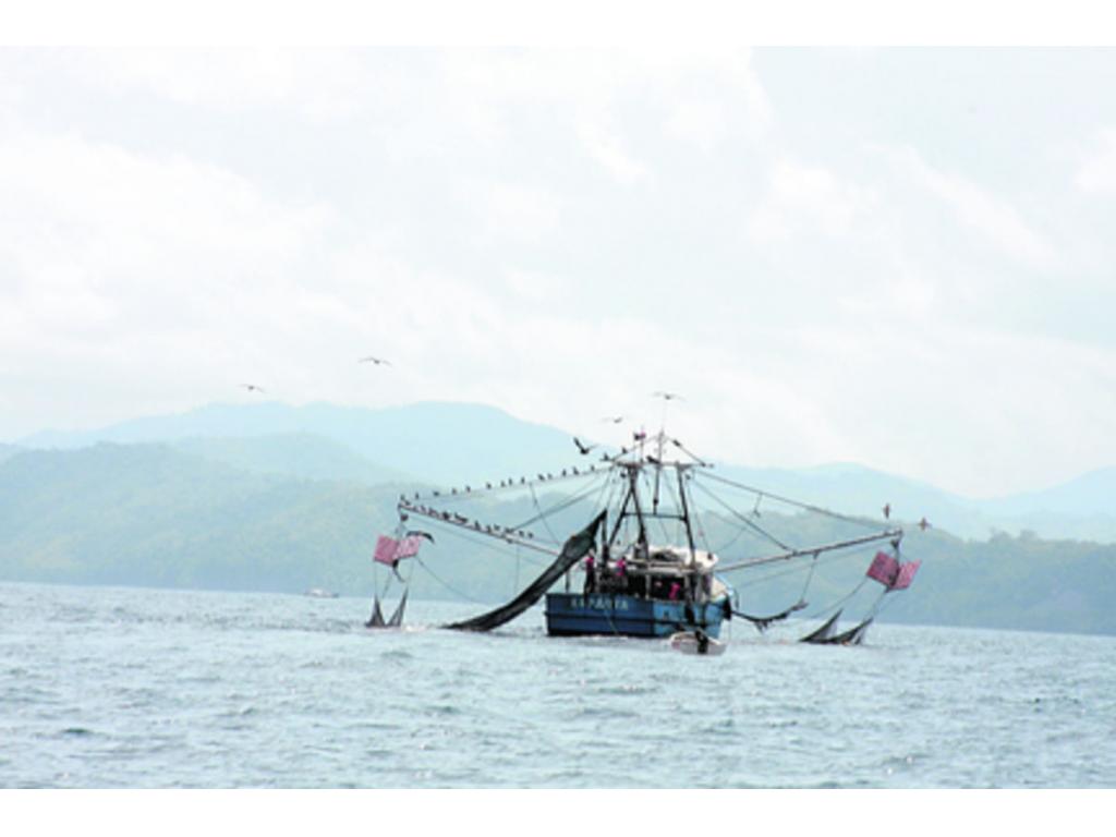 Daños mecánicos en barcos ponen en riesgo la vida de los pescadores y  marinos | Panamá América