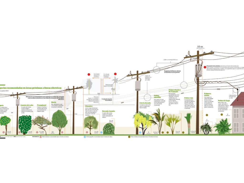 Caída de árboles afectan el suministro de electricidad | Panamá América