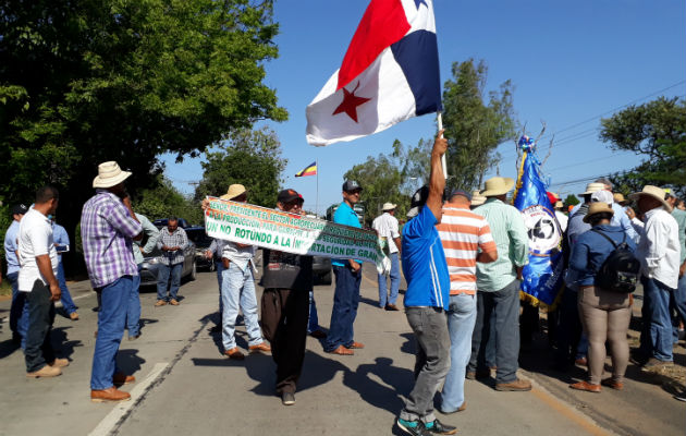 Exigen retiro de cargos contra productores que protestaron en Divisa. Foto: Thays Domínguez.  