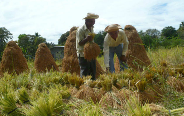 El pago que hará el Instituto de Mercadeo Agropecuario corresponde a las cuentas por pagar por más de $26 millones.