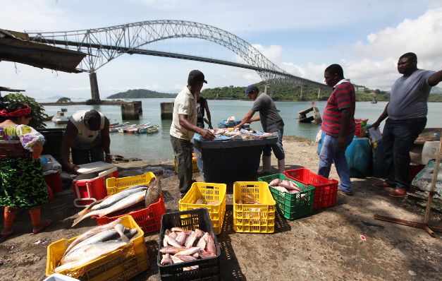  Severa escasez por  El Niño eleva   precios del pescado  