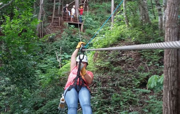 Panamá posee el canopy más largo a nivel regional    