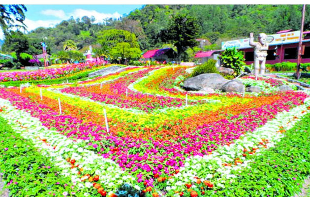 Todo Listo Para Feria De Las Flores Y El Café Panamá América 5213