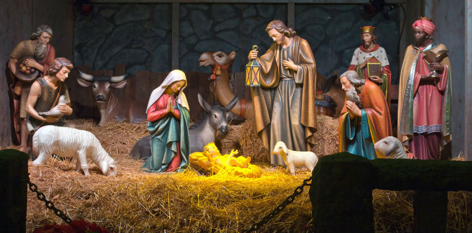 Musgo Pesebre Navidad Nacimiento Jesus