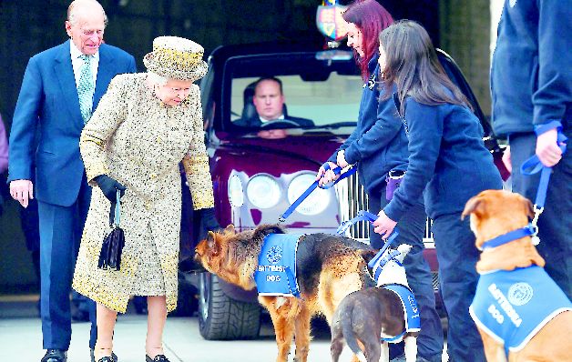 La reina Isabel II de Inglaterra llegó a tener hasta treinta perros.