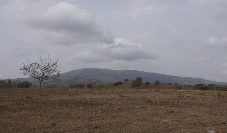 El cerro Canajagua es una de las elevaciones más  importantes de Azuero. /Foto Zenaida Vásquez