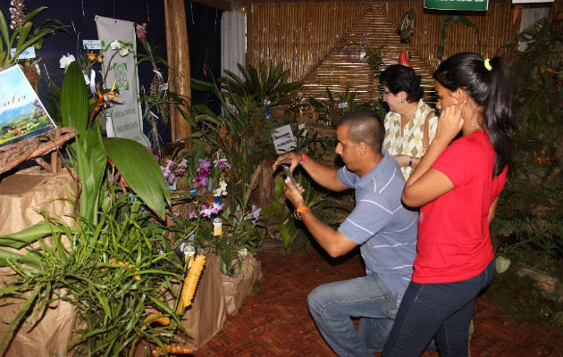 Feria de las Orquídeas inicia hoy en Santa Fe de Veraguas | Panamá América