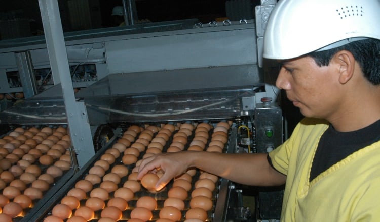 Aclaran que existe producción necesaria para el mercado. /Foto Archivo