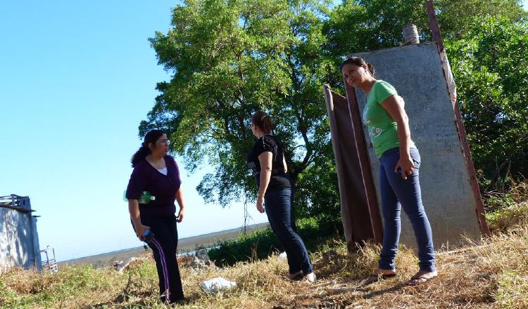 Denuncian que animales habían sido  abandonados. Thays Domínguez