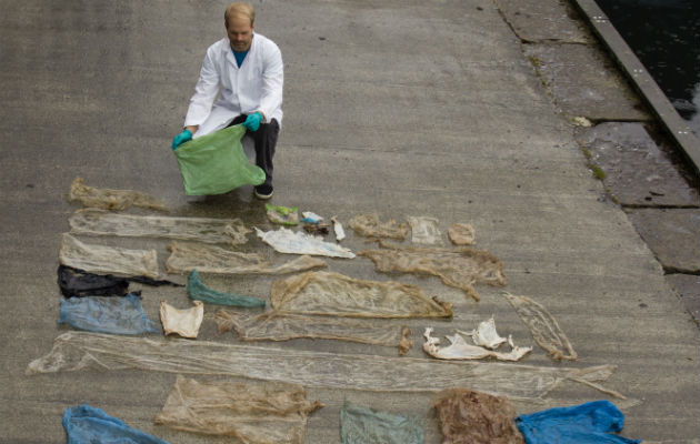 Tenía unas 30 bolsas en el estómago. Foto/ AP