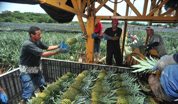 Las exportaciones se encuentran bajas debido a que Panamá es un país que poco produce para ofrecer al mercado internacional. /Foto Archivo