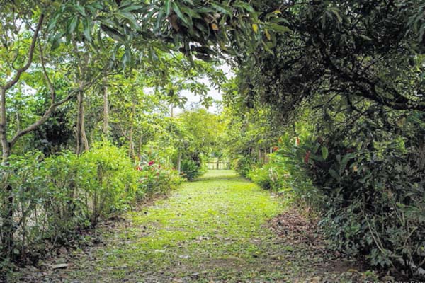 La narración de un amor interracial en Panamá