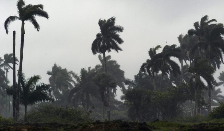 Este es un nuevo disturbio tropical, en una temporada muy movida.