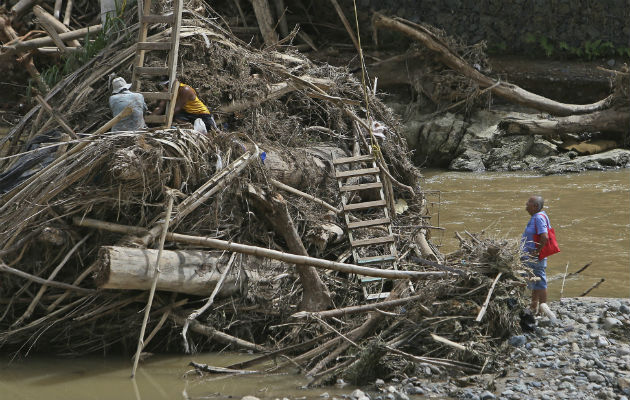 Al igual como el huracán María en Puerto Rico (foto), la tormenta Philippe generó tornados que quebraron árboles en Florida. Foto: Archivo/AP.