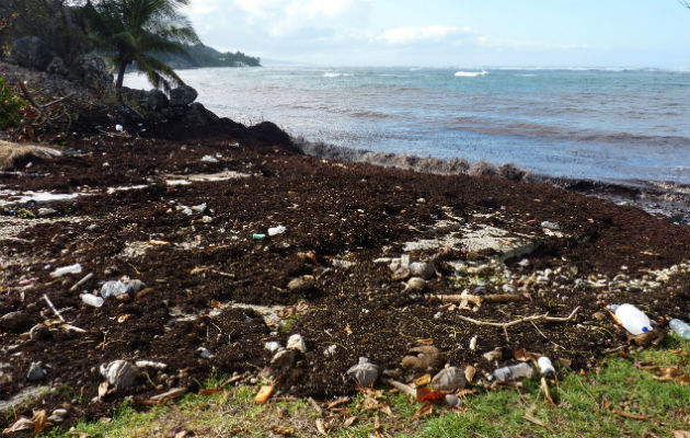 Varios pescadores descargan en un muelle el pescado que han capturado en una zona en el este de Barbados. FOTO/EFE