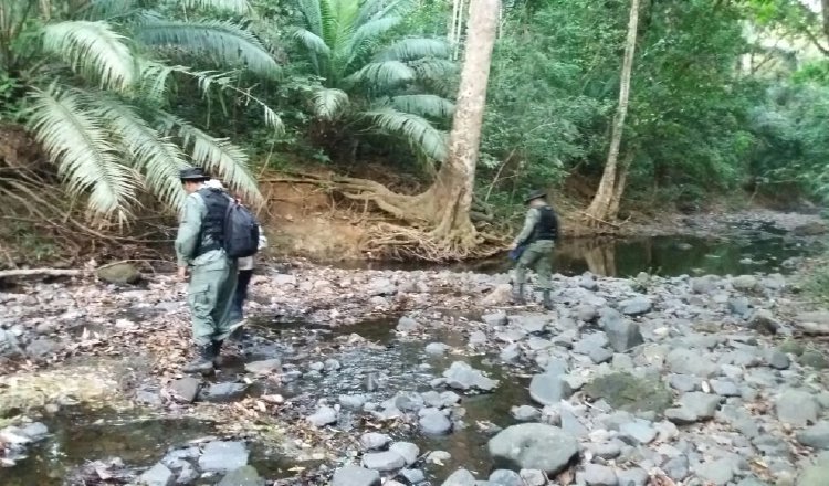 Todos los días deben recorrer los senderos para asegurarse de que no haya irregularidades con el patrimonio natural. /Foto Cortesía