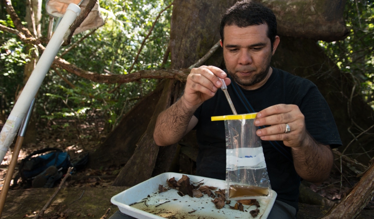 José Loaiza, investigador. Cortesía: STRI