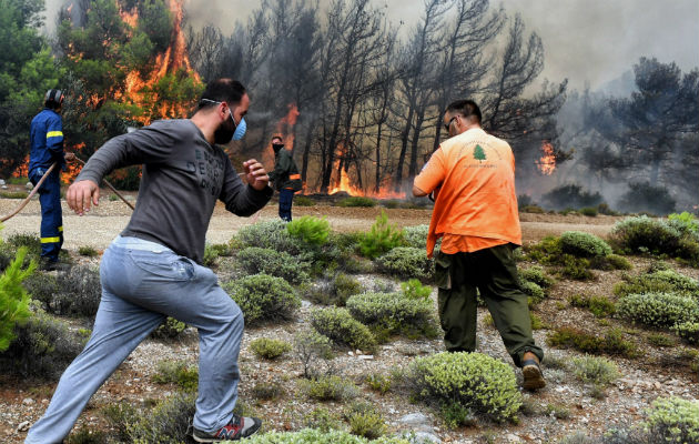 Varios bomberos y voluntarios luchan contra las llamas. Foto: EFE 