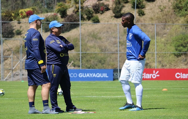 Bolillo Gómez inició los microciclos con Ecuador.